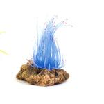 Kazoo Soft Grass Coral With Rock