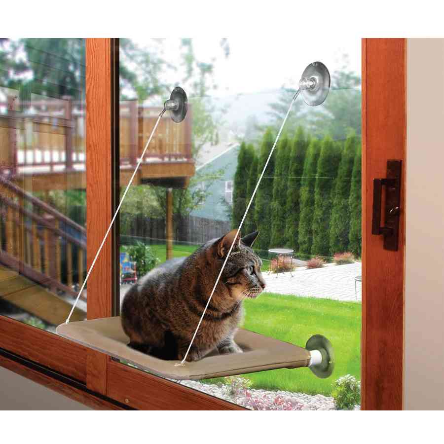 Kazoo cat outlet hammock