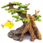 Kazoo Bonsai Plant