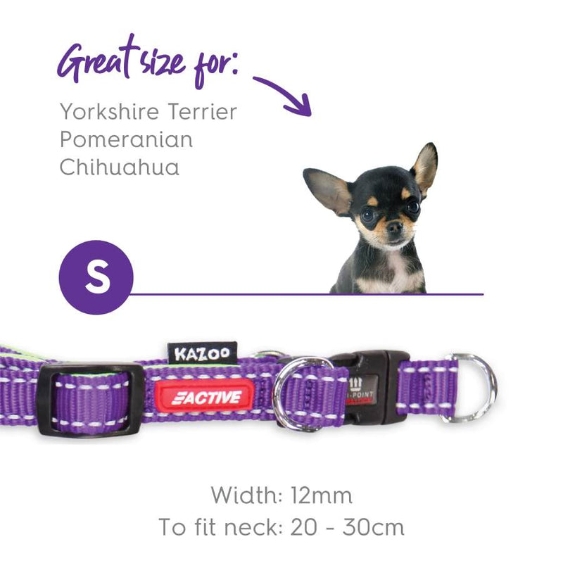 Kazoo Active DD Adjustable Nylon Collar Purple Lime