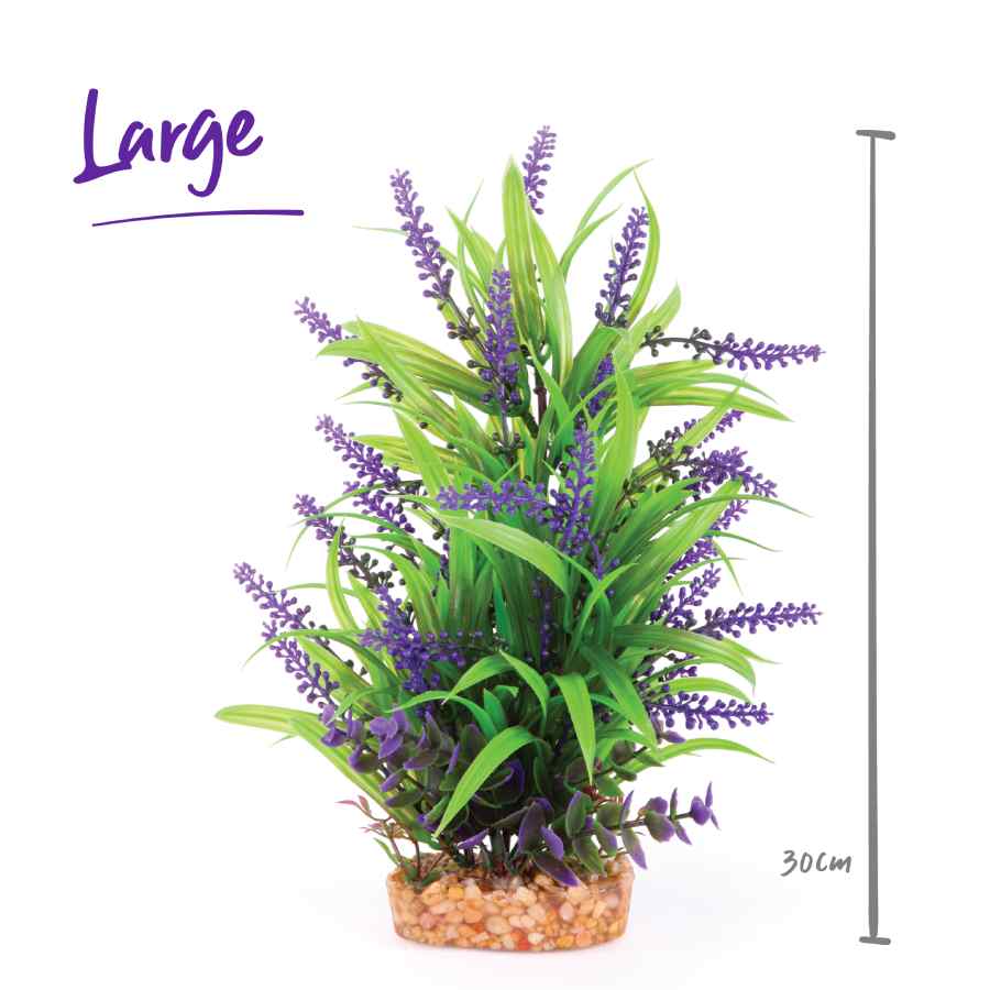 Kazoo Combination Plant Thin Leaf With Purple Flower