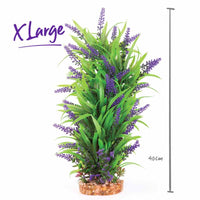 Kazoo Combination Plant Thin Leaf With Purple Flower