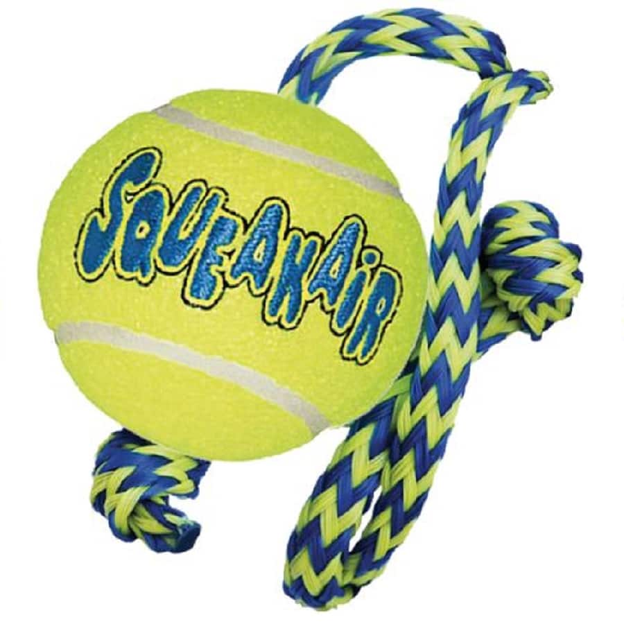 Kong medium squeaker outlet ball