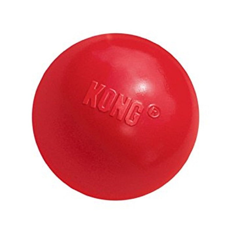 Kong Ball Toy