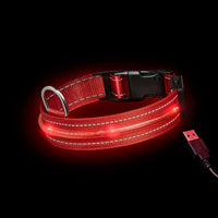 Loomo LED Dog Collar Red