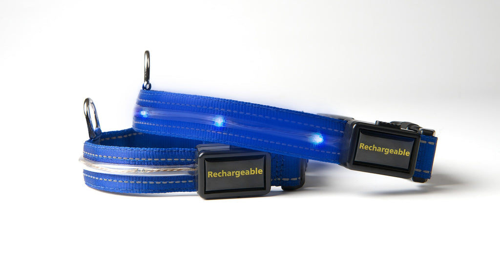 Loomo LED Dog Collar Blue