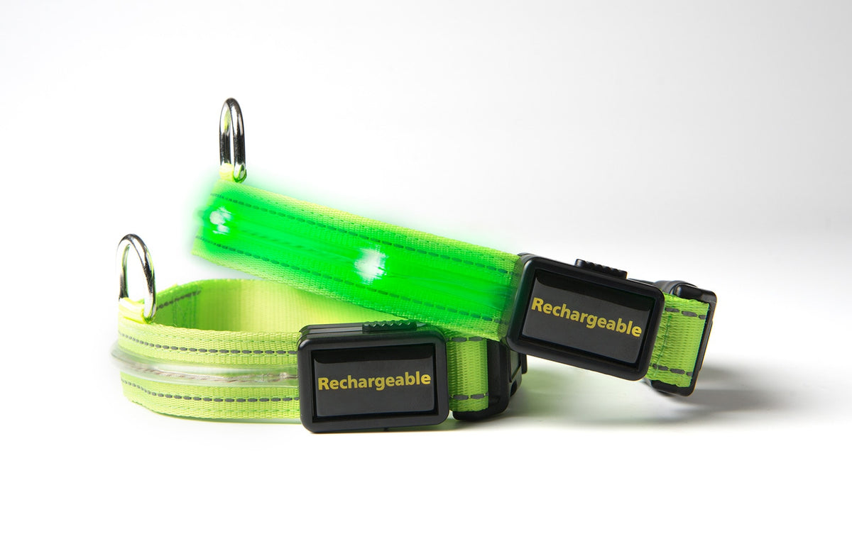 Loomo LED Dog Collar Green 2