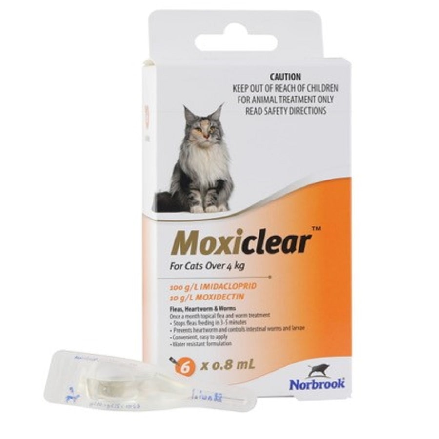 Moxiclear Orange for Cats over 4kg