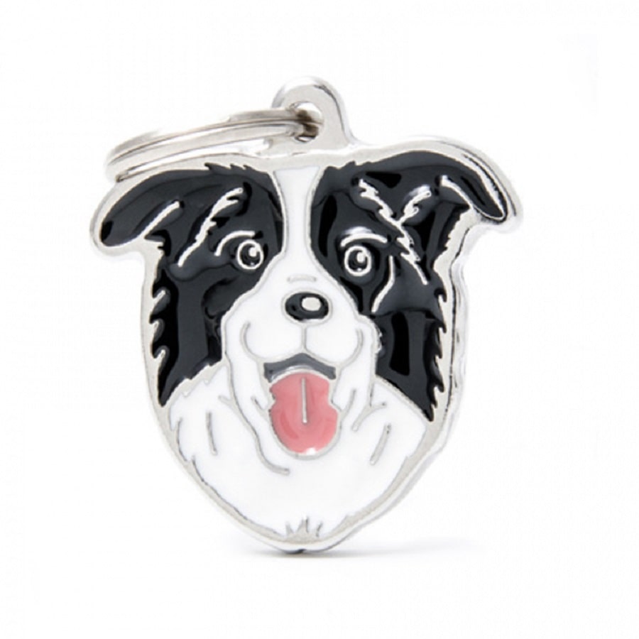 My Family ID Tags Friends Border Collie