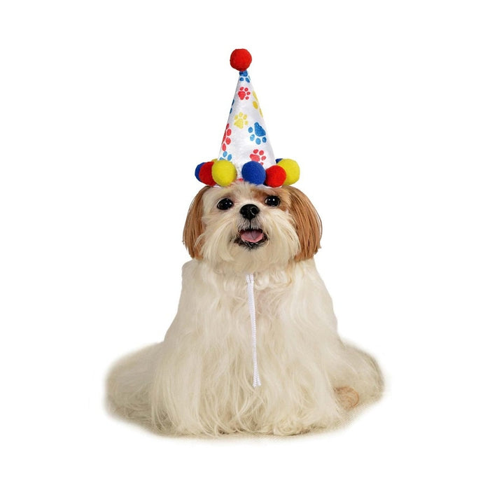 Paw Print Boy Pet Birthday Hat