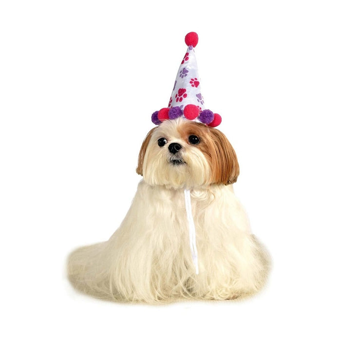 Paw Print Girl Pet Birthday Hat