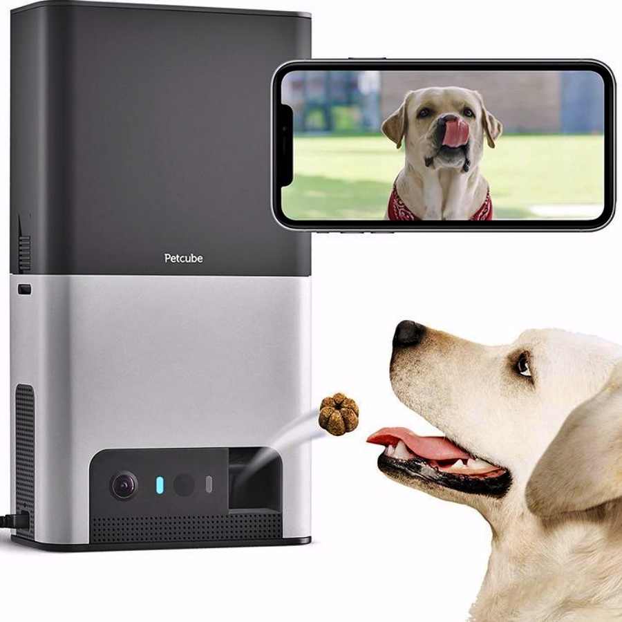 Dog treat hot sale machine with camera