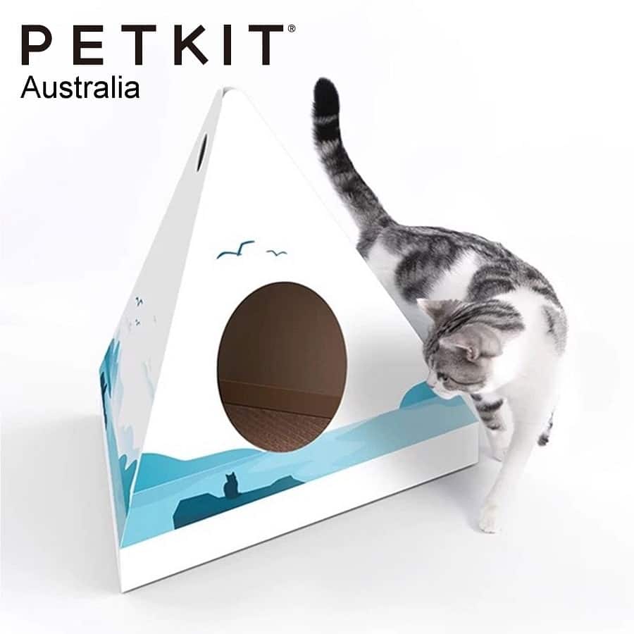 Petkit Cat Scratcher House Pyramid Blue