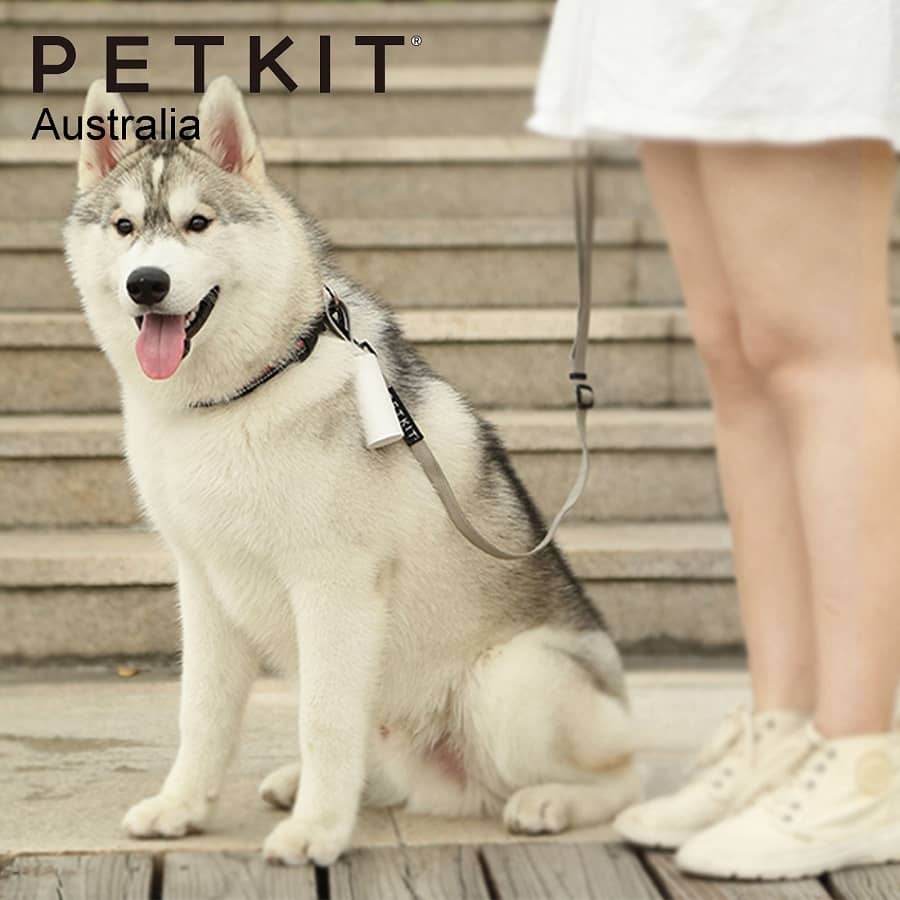 Petkit Dog Waste Bag Refill Rolls