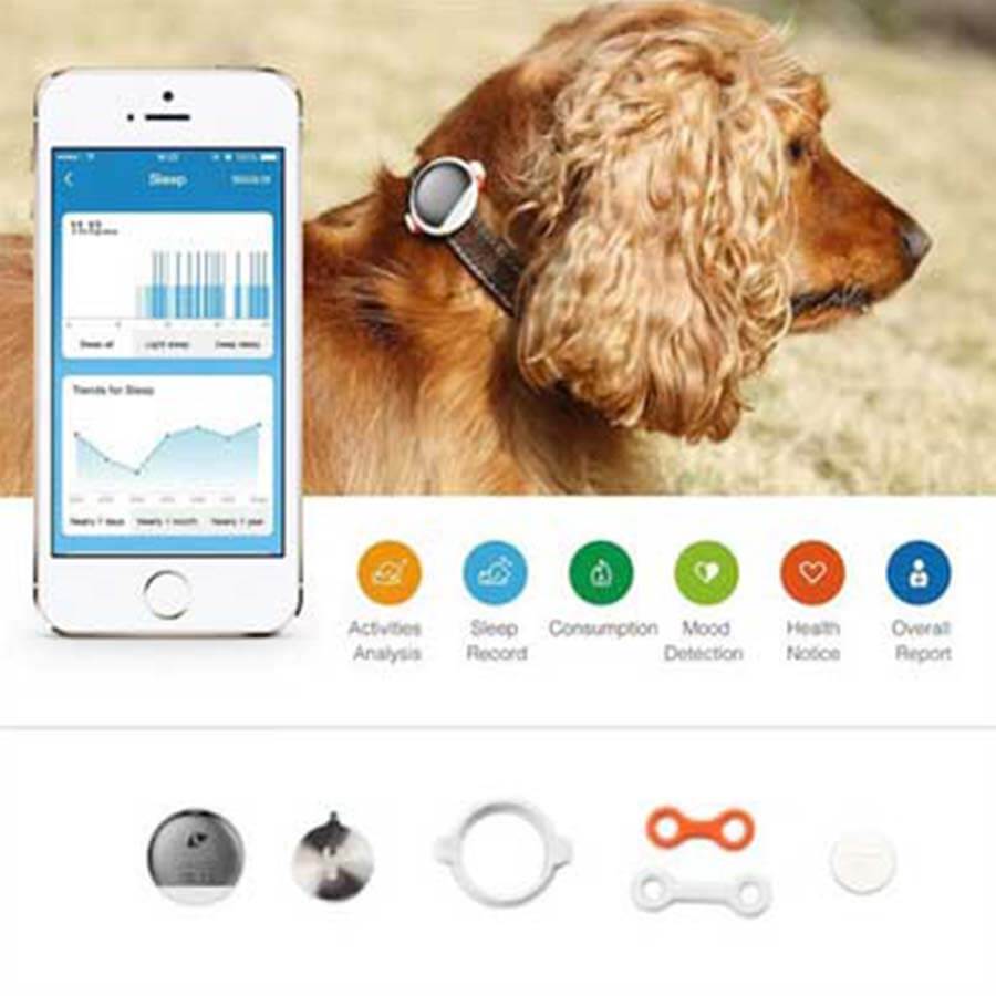 Pet hot sale activity monitor