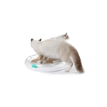 Petkit Fun 4 In 1 Cat Scratcher