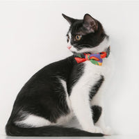 Pidan A2 Bow Tie Cat Collar