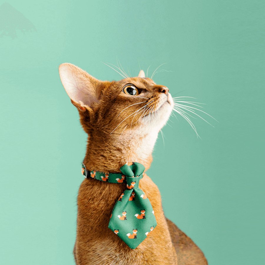 Pidan Cat Necktie