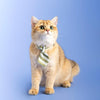 Pidan Cat Necktie