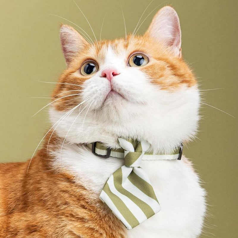 Pidan Cat Necktie