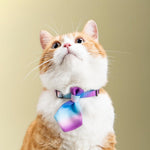 Pidan Cat Necktie