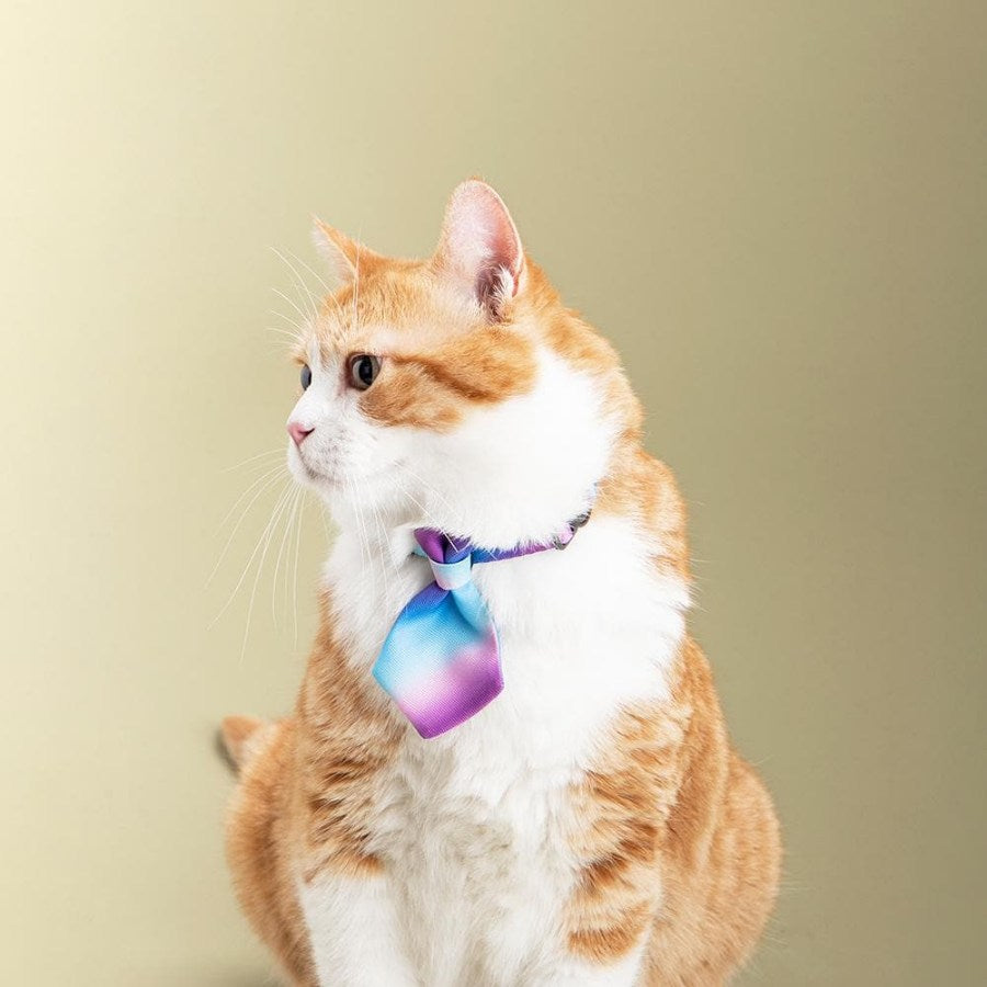 Pidan Cat Necktie