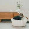 Pidan Cupcake Bed