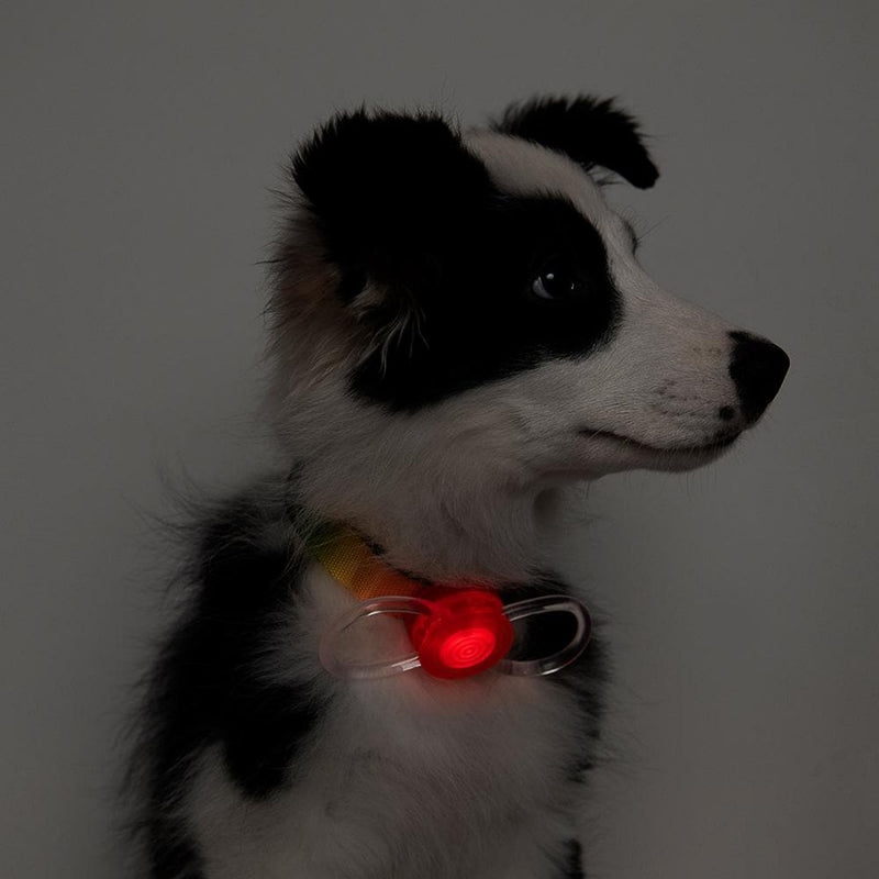 Pidan Dog Safety Light