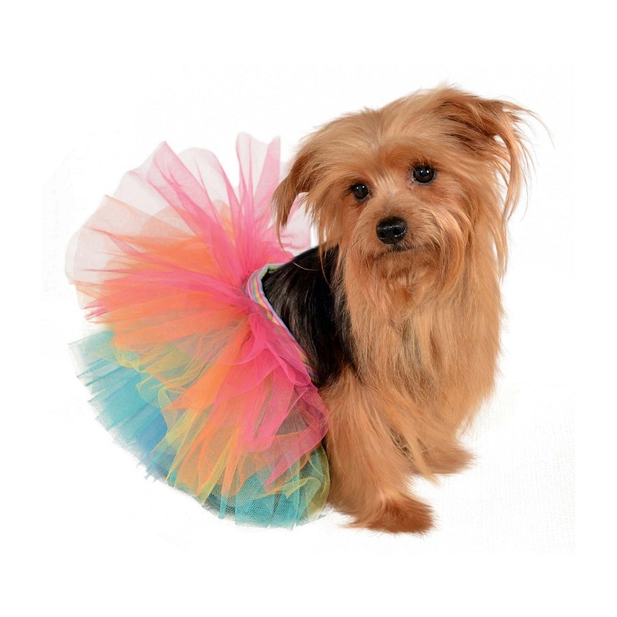 Tutu shop for dogs