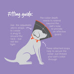 Kazoo Recovery Collar