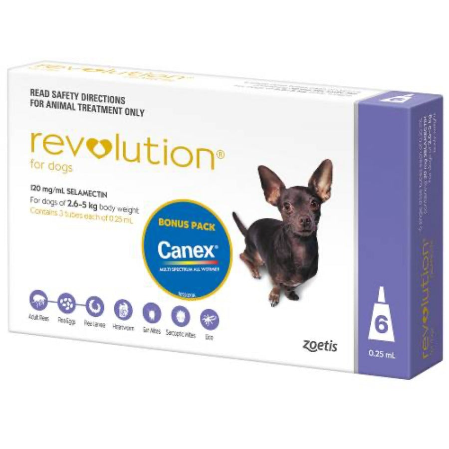 Revolution Dog Extra Small Purple