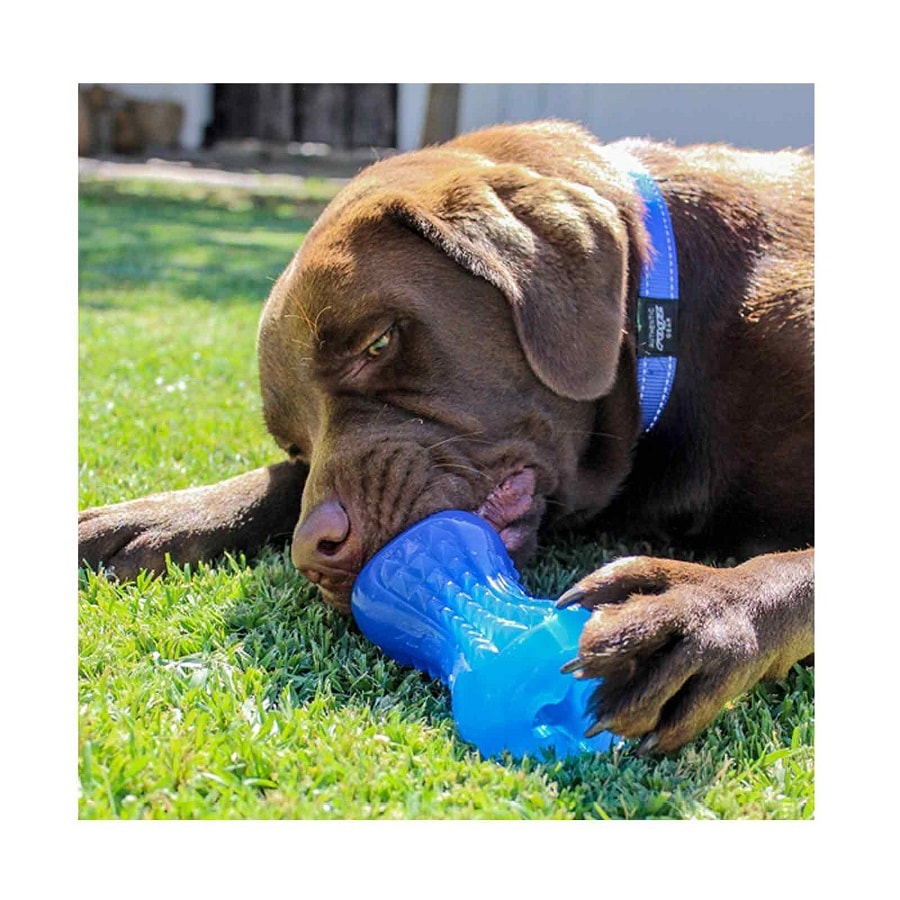 Rogz Yumz Dog Toy Pink