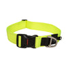 Rogz Dog Collar Dayglow