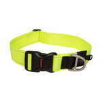 Rogz Dog Collar Dayglow
