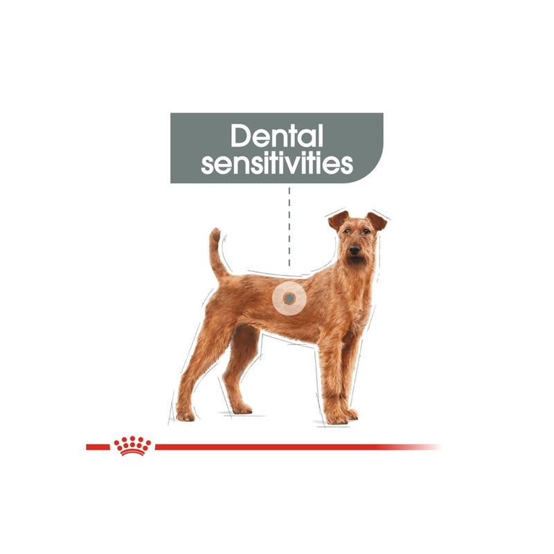 Royal Canin Medium Dental Care Adult Dry Dog Food