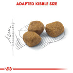 Royal Canin Adult Fit