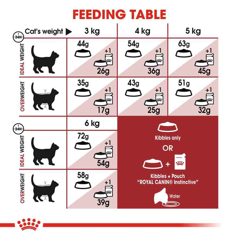 Royal Canin Adult Fit