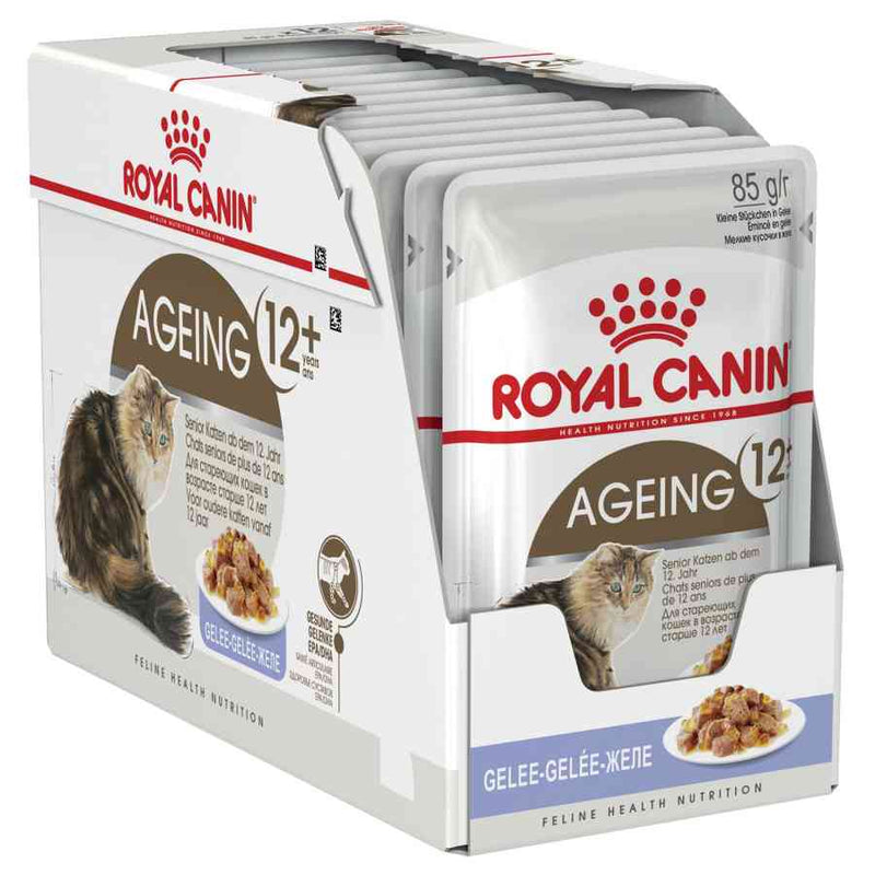 Royal Canin Ageing in Jelly