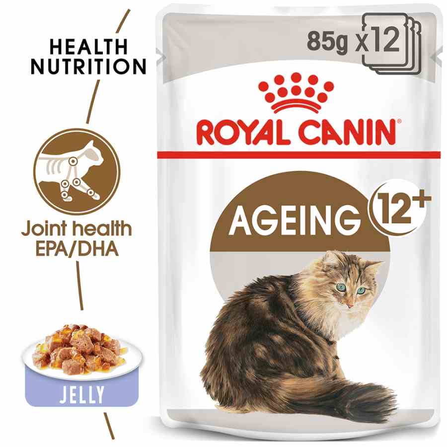 Royal Canin Ageing in Jelly