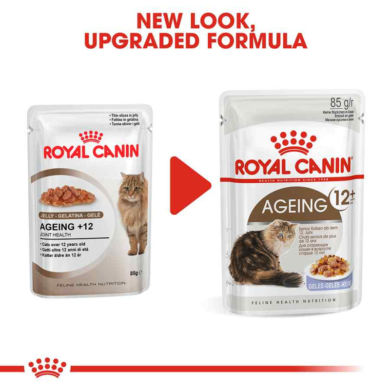 Royal Canin Ageing in Jelly