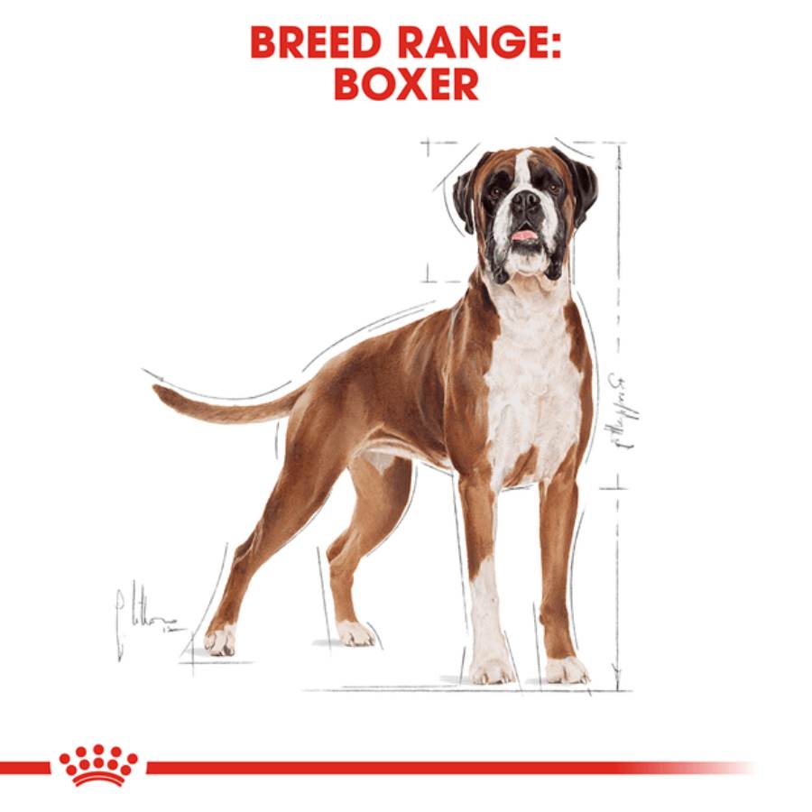 Royal Canin Boxer Adult Dry Dog Food 12kg