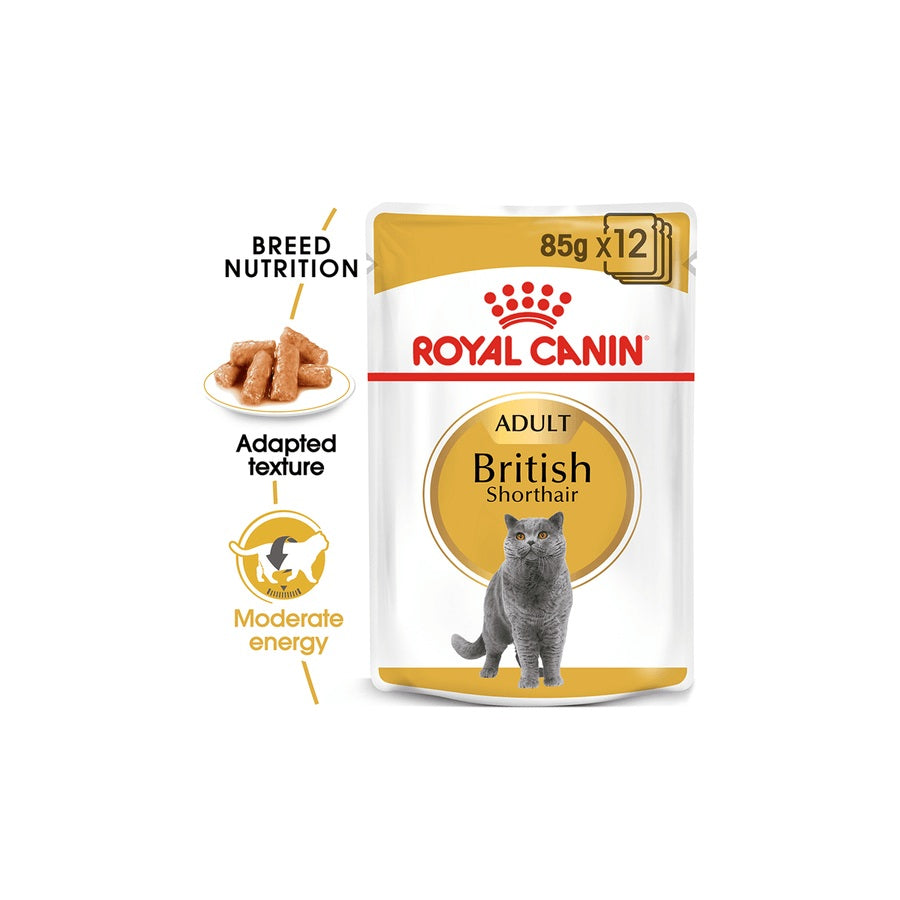Royal Canin British Shorthair Gravy Adult Wet Cat Food 12 X 85g