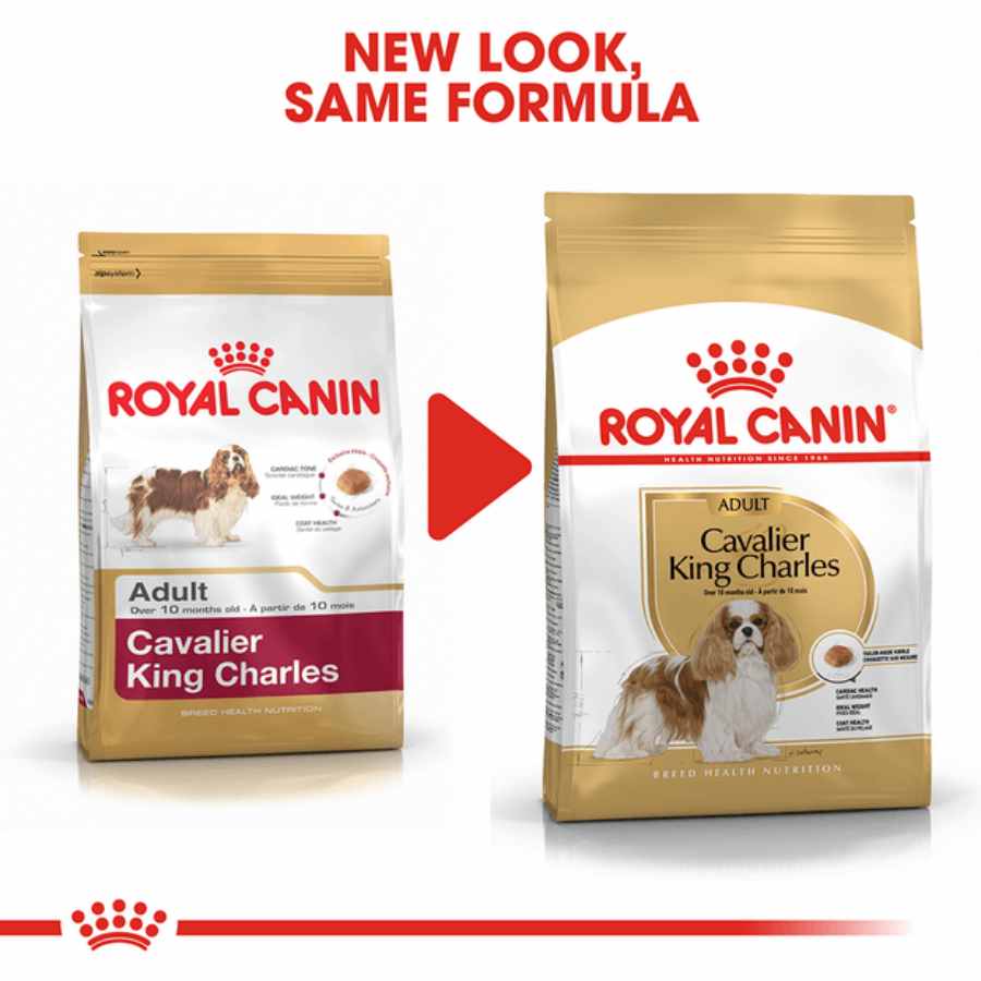 Royal Canin Cavalier King Charles Adult Dry Dog Food