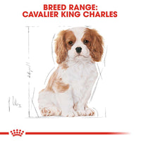 Royal Canin Cavalier King Charles Puppy Dry Dog Food 1.5kg