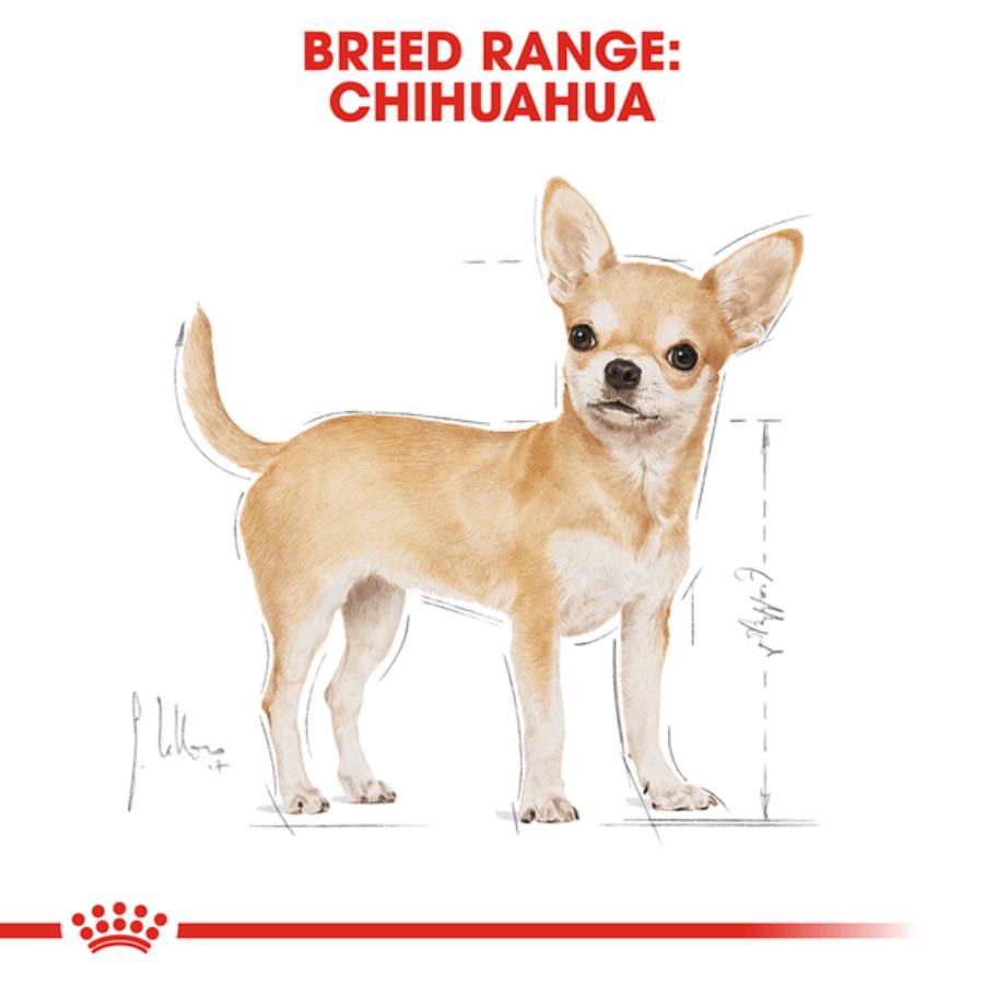 Royal Canin Chihuahua Adult Dry Dog Food