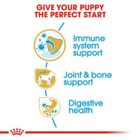 Royal Canin Dachshund Puppy Dry Dog Food 1.5kg