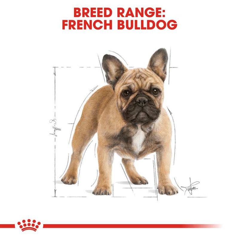 Royal Canin French Bulldog