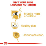 Royal Canin French Bulldog