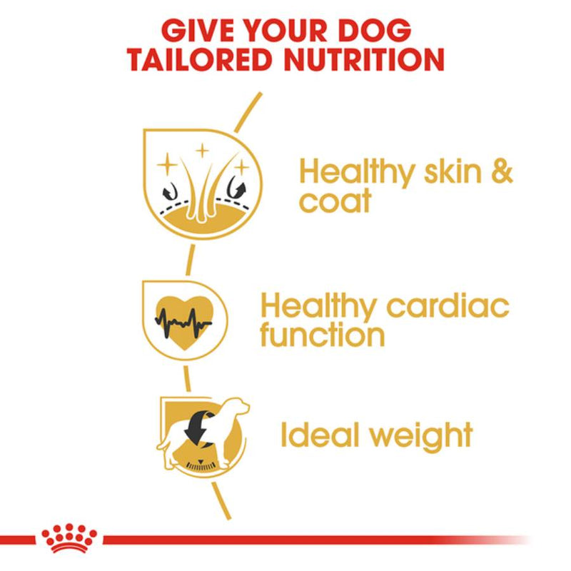 Royal Canin Golden Retriever Adult Dry Dog Food 12kg