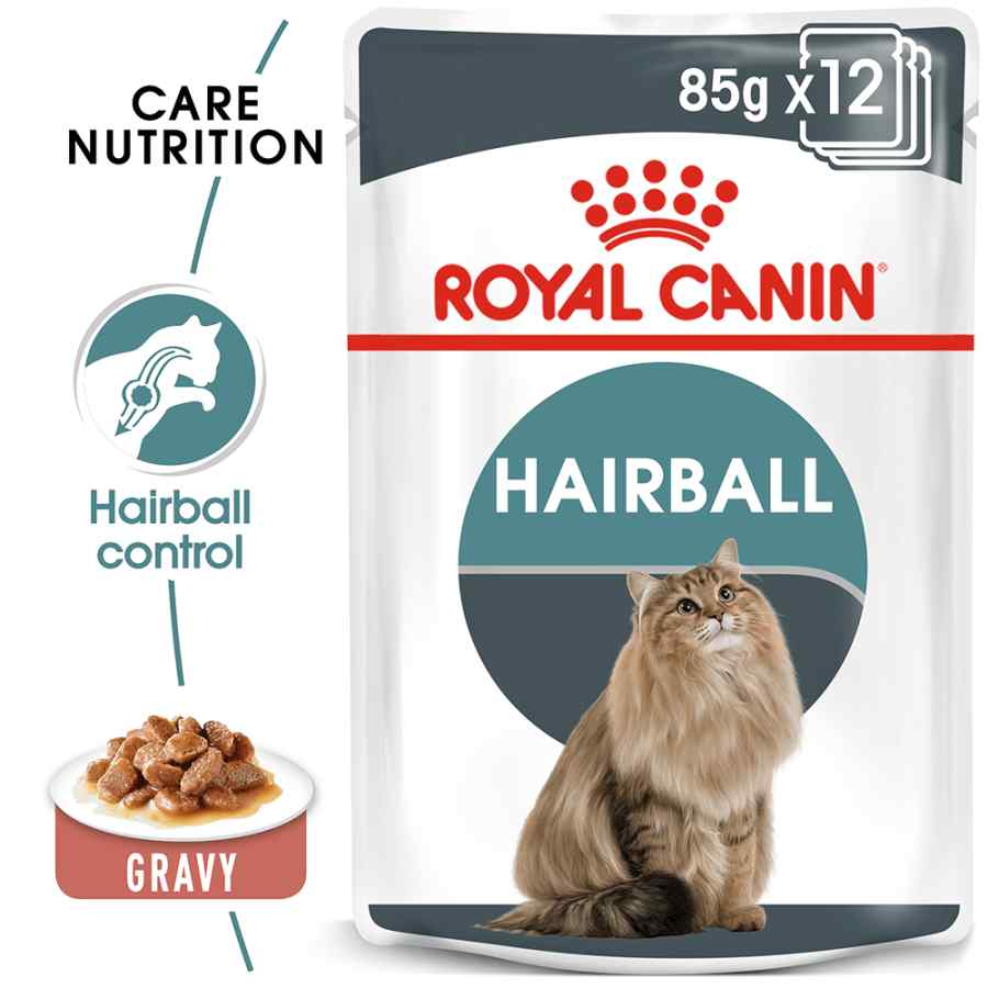 Royal Canin Hairball Care in Gravy